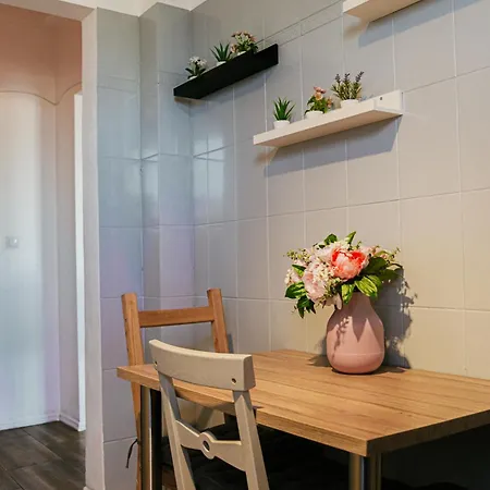 Hacienda Doamnei - Modern Old Town Studio Apartment